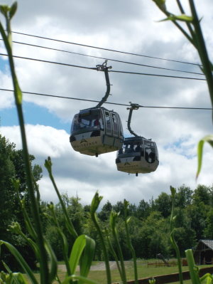 Whiteface Gondola